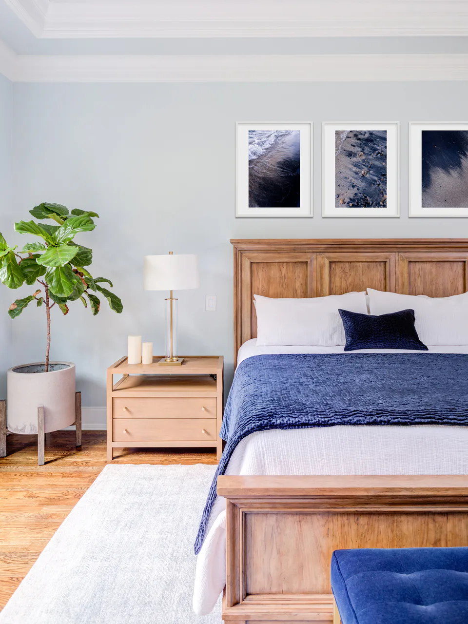 Main bedroom with a paneled wood bed, navy bedding, a fiddle-leaf fig and three framed prints at Durham Transitional, Durham, North Carolina, interior design by Alexandra Peck Design, photography by Cat Wilborne